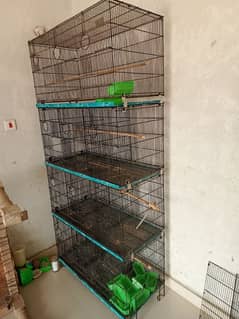 Finches Cage