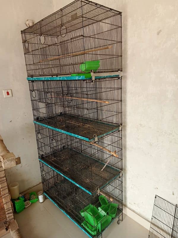 Finches Cage 0