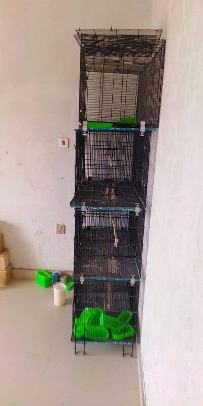 Finches Cage 4