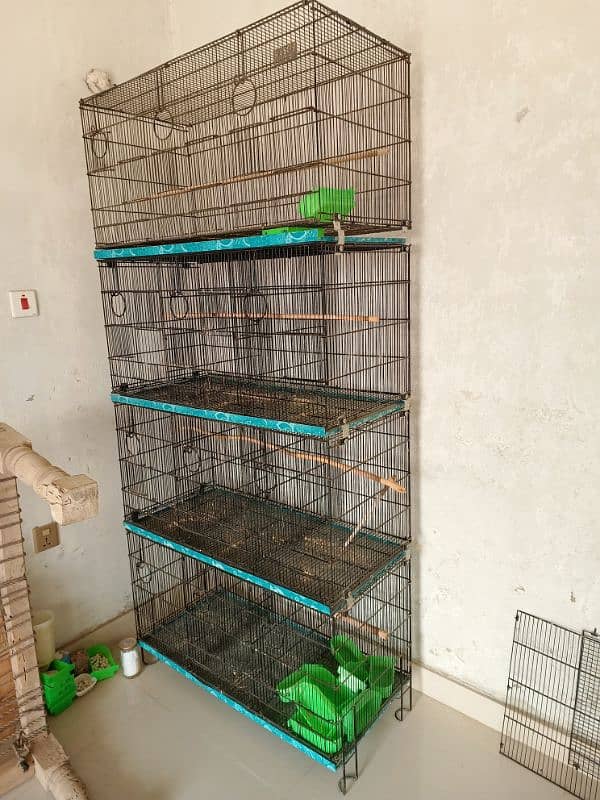 Finches Cage 5