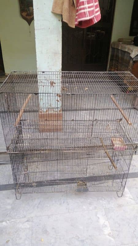 parrot cage 2