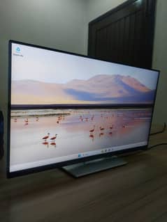 DELL P2422H / LED MONITOR/ DELL MONITOR