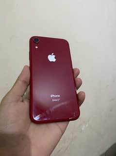 IPhone Xr Dual Pta Approved