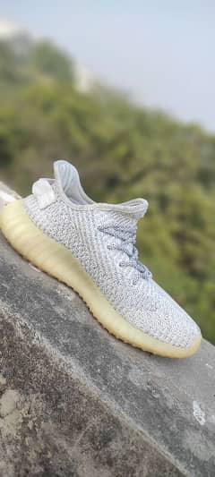 Adidas Yeezey boost 350 v2