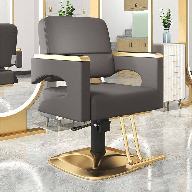 saloon chairs \ barbar chair \ parlour chairs \ chairs for sale 3