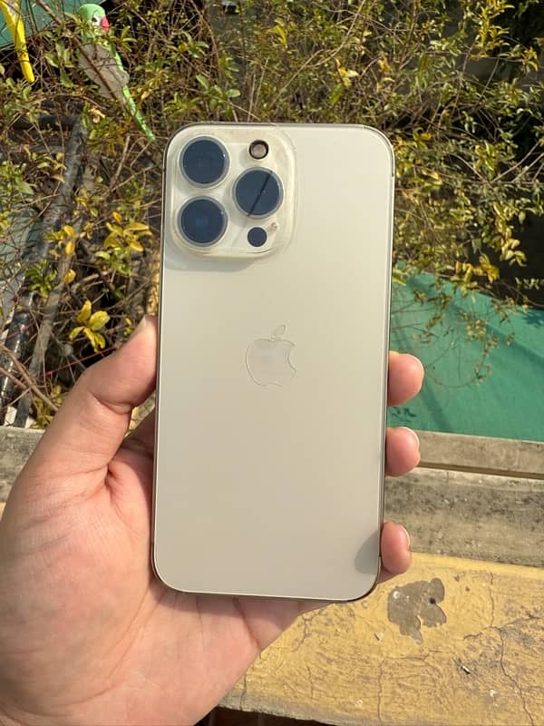 iPhone 13 Pro PTA Approved 0