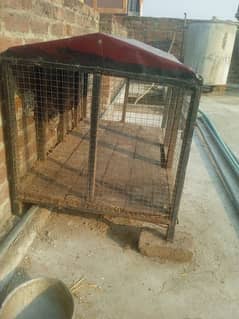 Iron cage for hen in a good condition for sale in Jhelum city