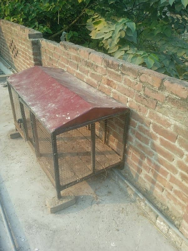 Iron cage for hen in a good condition for sale in Jhelum city 1