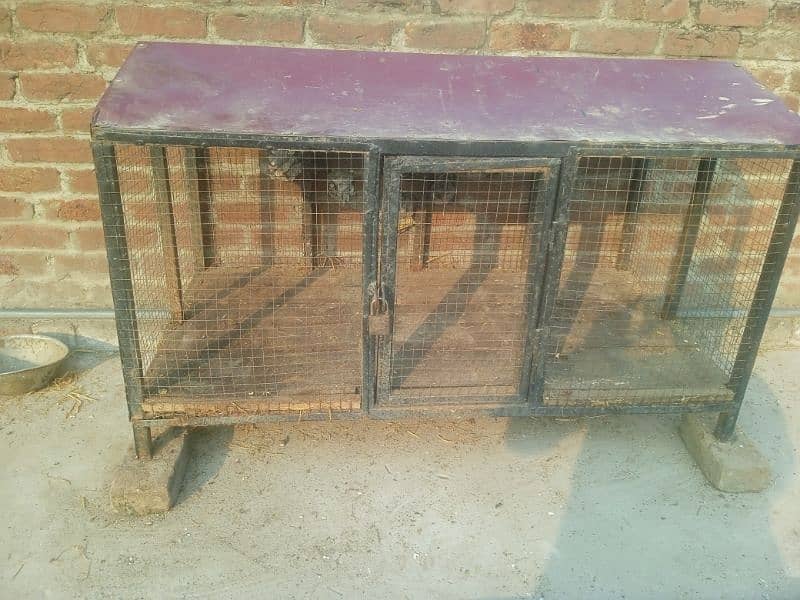 Iron cage for hen in a good condition for sale in Jhelum city 3