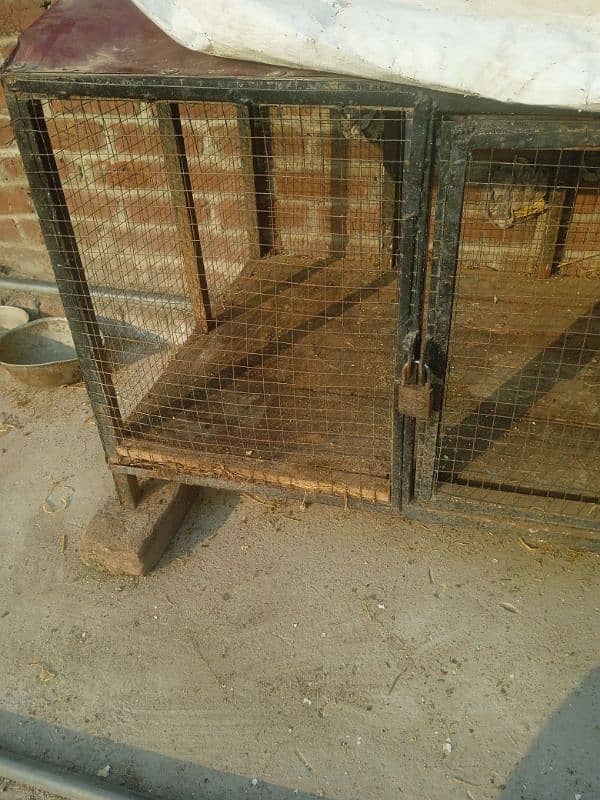 Iron cage for hen in a good condition for sale in Jhelum city 6