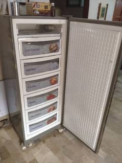 Vertical Freezer