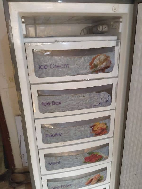 Vertical Freezer 3