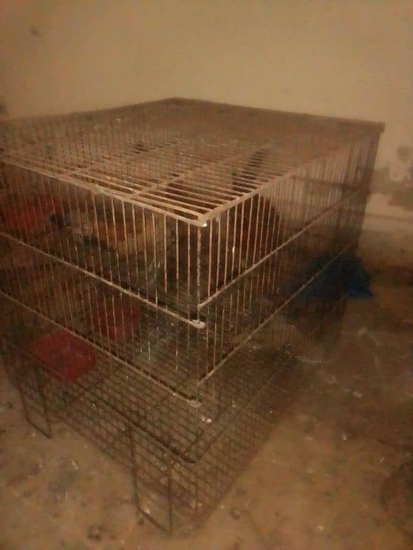 used cages for sale 3