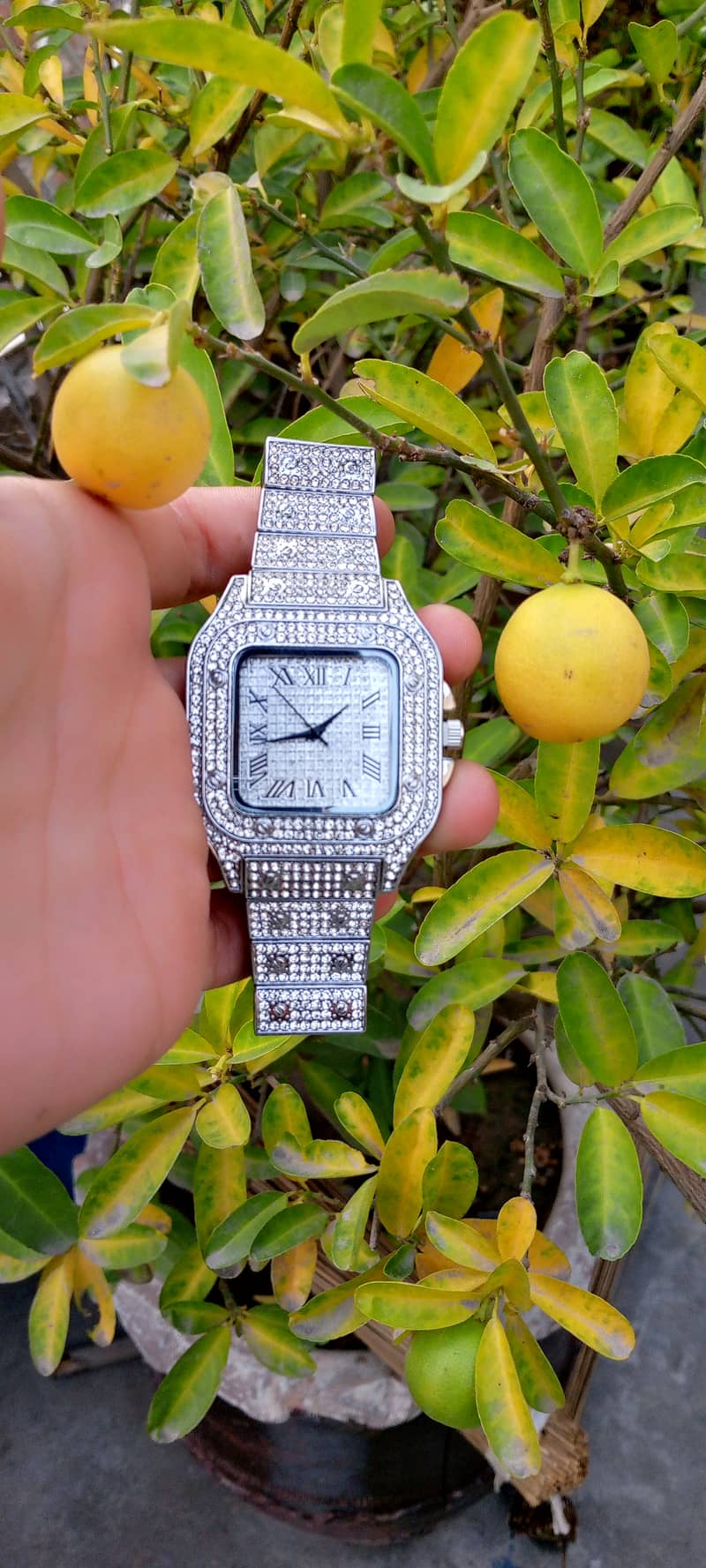 Luxury diamond watch 5