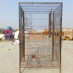 Han and parrat cage