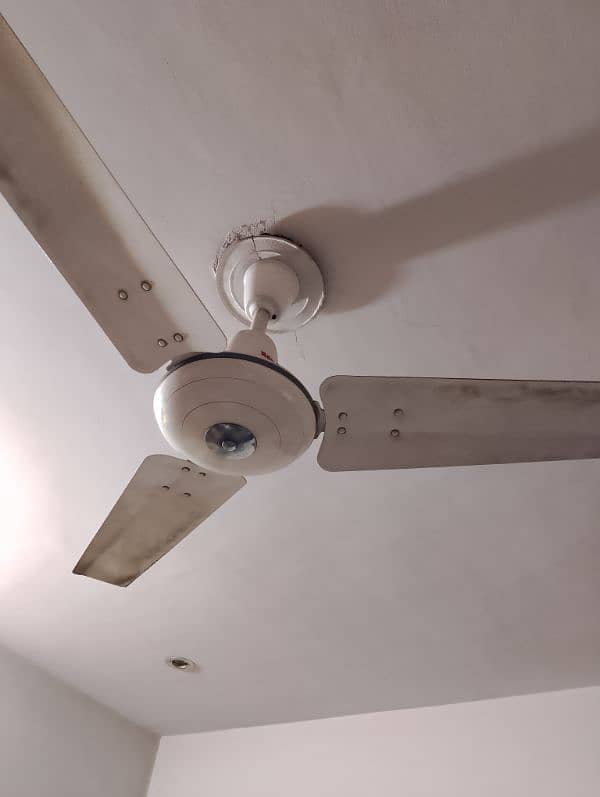 Royal ceiling fan 3