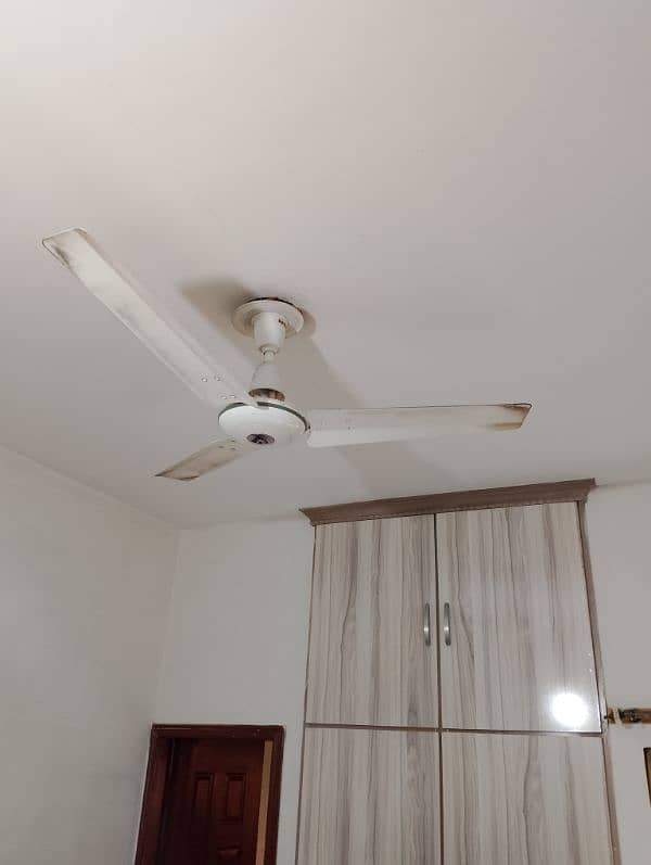 Royal ceiling fan 4