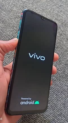 ViVo