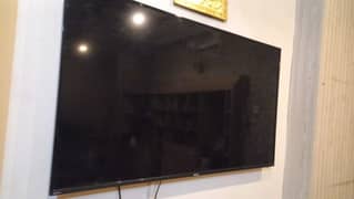 Orient 65 inches