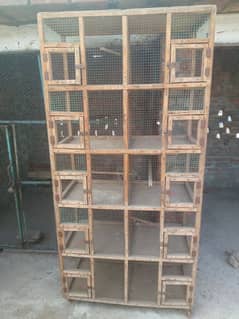 Parrot cage for sale 03124499315cntct nmb