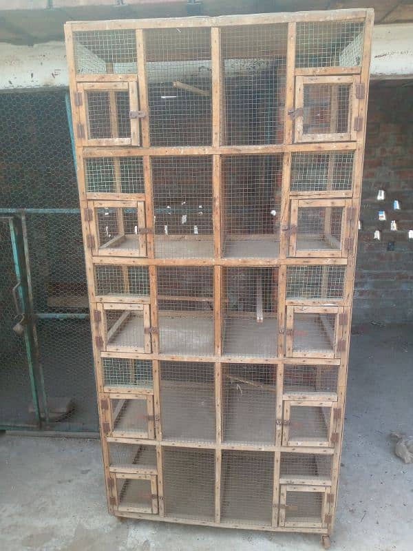 Parrot cage for sale 03124499315cntct nmb 0