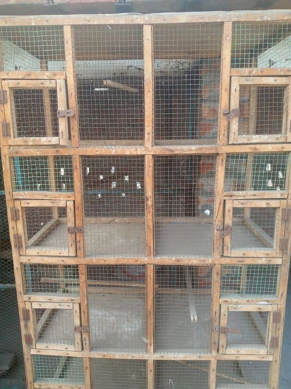 Parrot cage for sale 03124499315cntct nmb 1