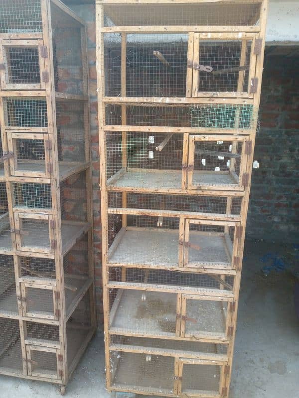 Parrot cage for sale 03124499315cntct nmb 3