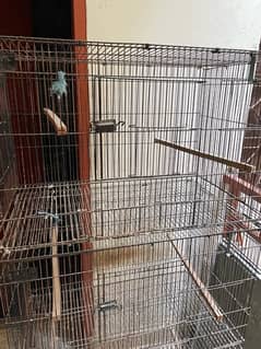 2.5x1.5x1.5 Folding Cage for sale 1 season used