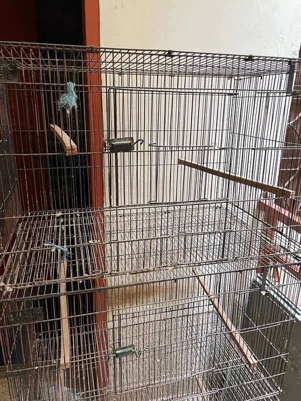 Iron Folding Cage for sale 1 season used 0