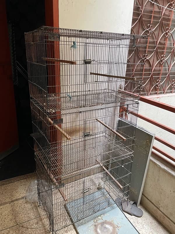 Iron Folding Cage for sale 1 season used 1