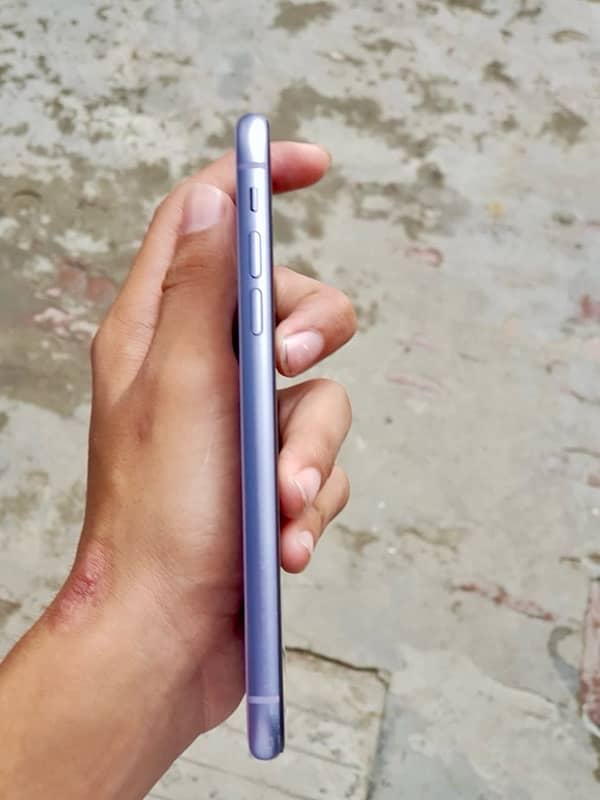 iphone 11 64 gb only pannel change jv 5