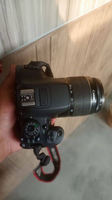 canon D700 5