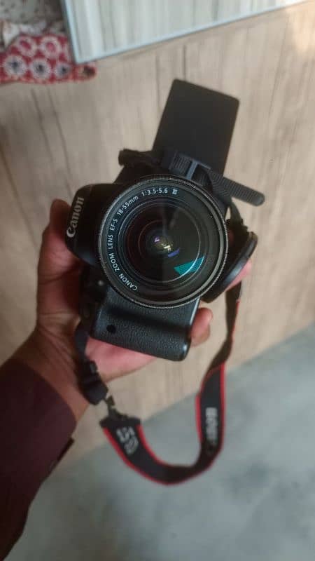 canon D700 15