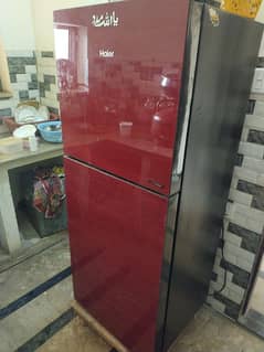 Haier Glass Door Medium Size Refrigerator