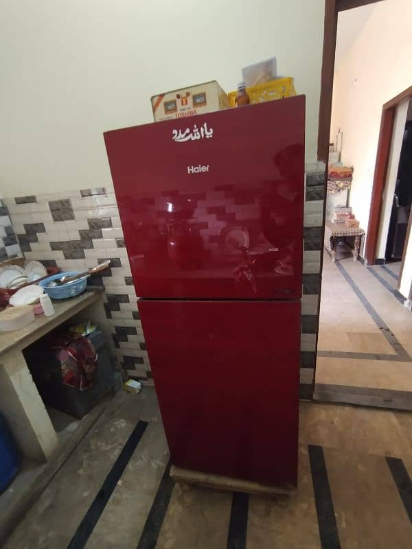 Haier Glass Door Medium Size Refrigerator 1