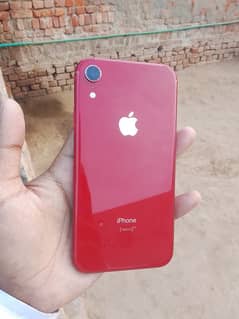 Apple | iPhone XR | 64GB Storage | Mobile phone