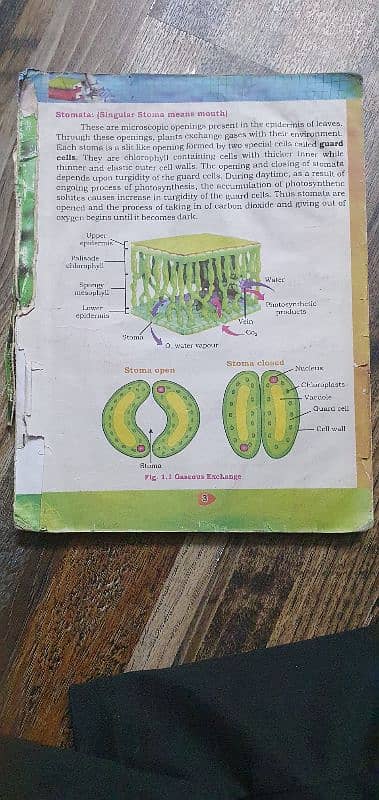 MATRIC SYLLABUS BOOKS 2