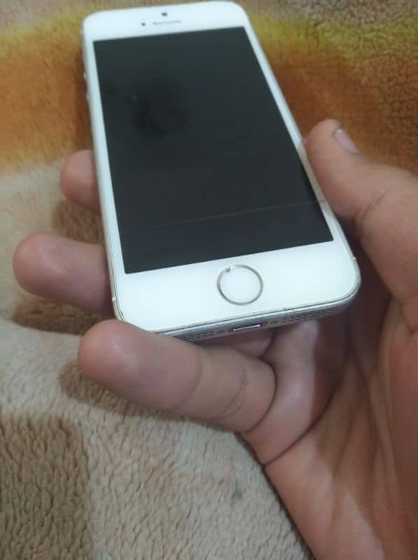 IPHONE 5S silver 3