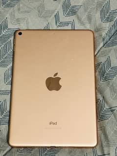 Ipad mini