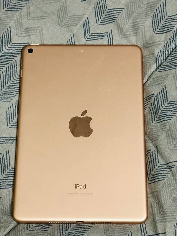 Ipad mini 0