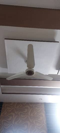 Super Asia ceiling fans