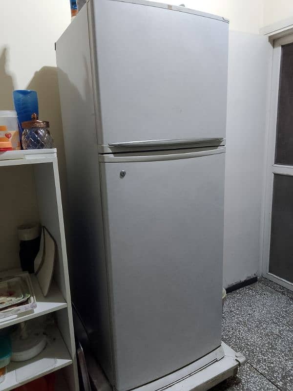 No frost fridge 1