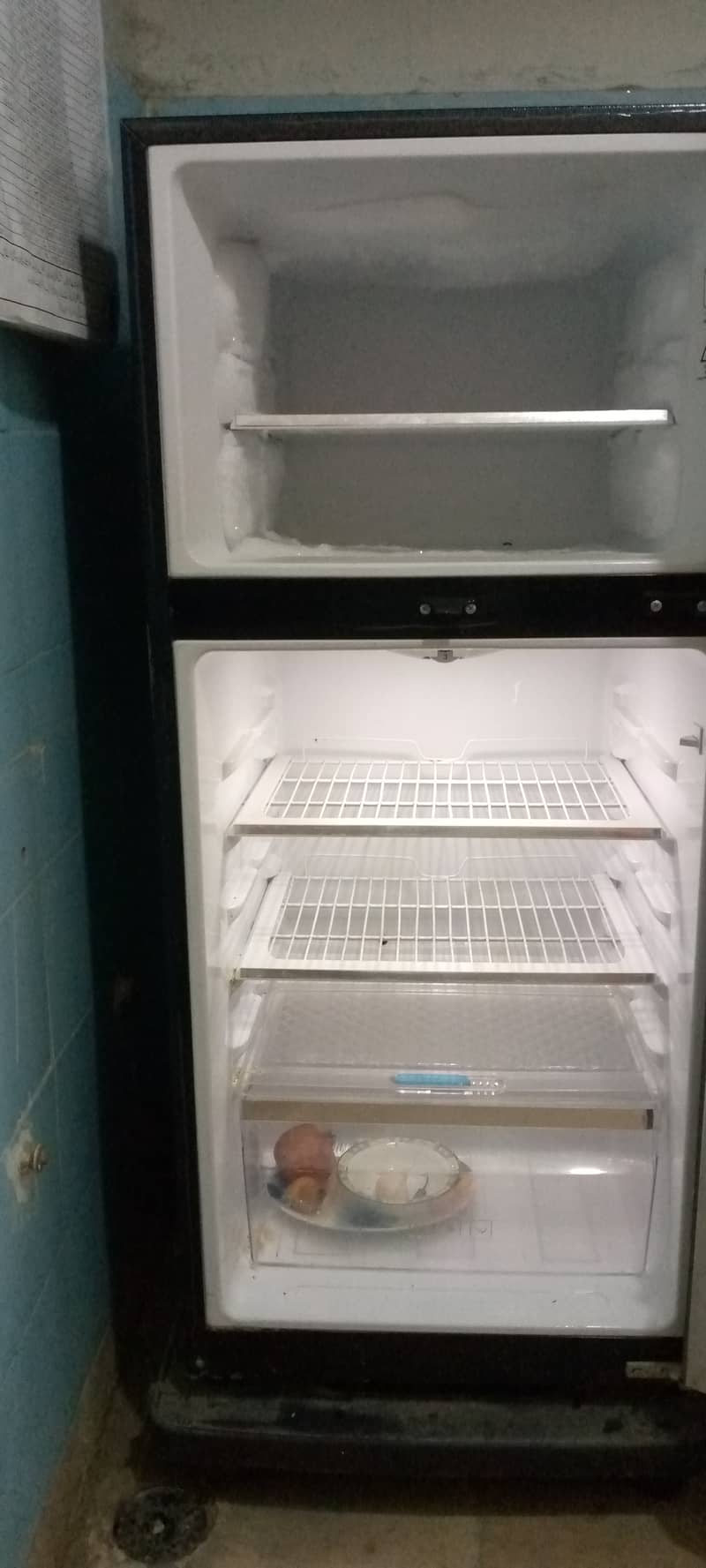 Kenwood Fridge In Warranty 5