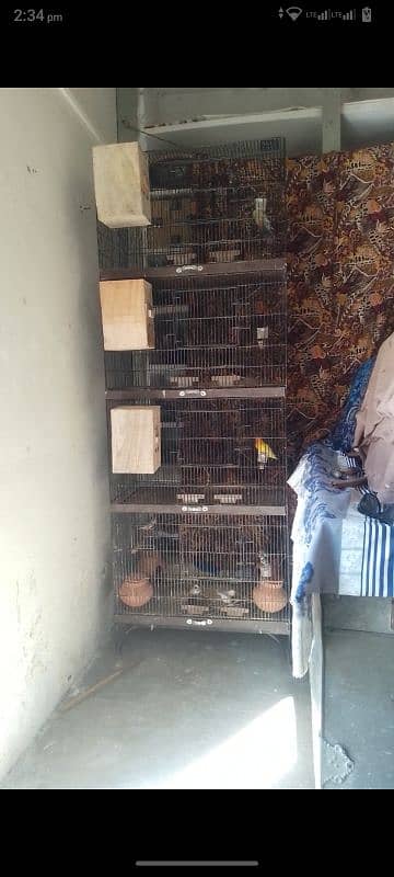 urgent 4 sale cage 4 portion 0