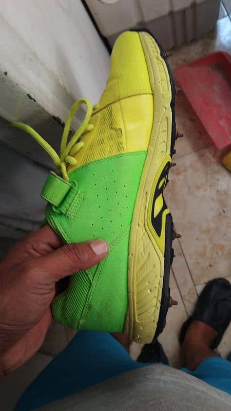 Puma cricket Spikes original 1