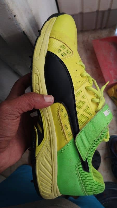 Puma cricket Spikes original 3