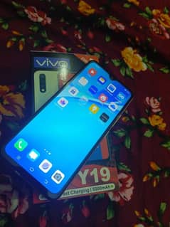 Vivo Y19 8/256 New Condition Home use