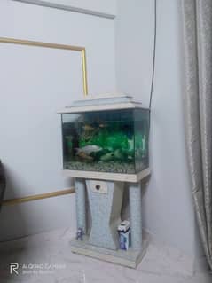 Acquarium 2×2