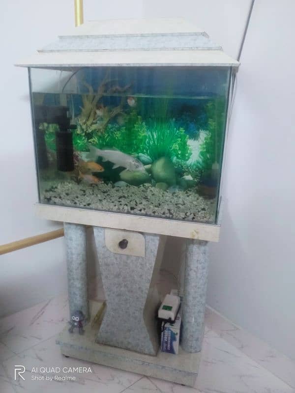 Acquarium 2×2 1