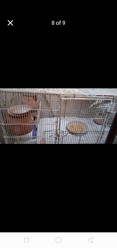 Heavy Weight Cage 5 Pair of Australia and 1 Pair of Love Birds Latino 7